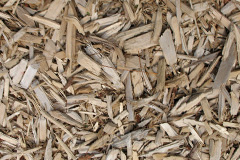 biomass boilers Saighdinis